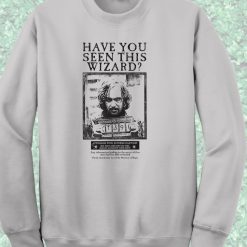 Have You Seen This Wizard Ministry of Magic Crewneck Sweatshirt