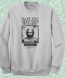 Have You Seen This Wizard Ministry of Magic Crewneck Sweatshirt