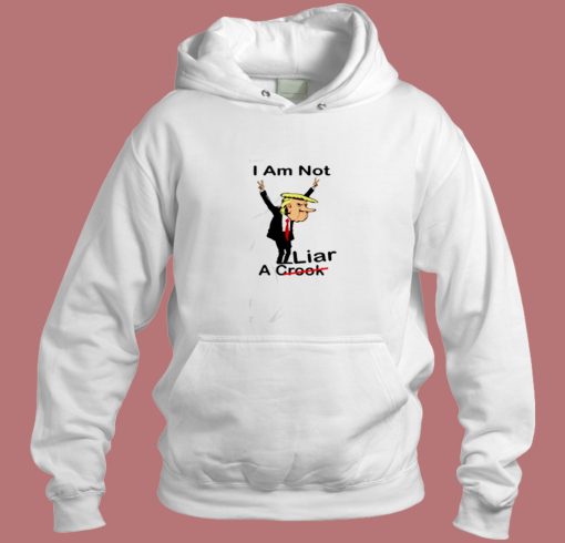 I Am Not A Crook Aesthetic Hoodie Style
