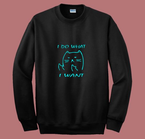 What I Want Joke Cat Meme 80s Sweatshirt