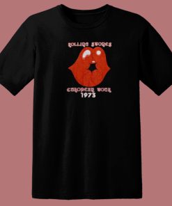 1973 Rolling Stones European Tour 80s T Shirt Style