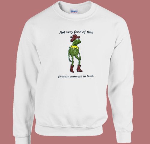 Not Very Fond Of This Present Sweatshirt On Sale
